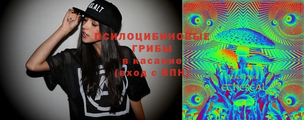 ПСИЛОЦИБИНОВЫЕ ГРИБЫ Армянск