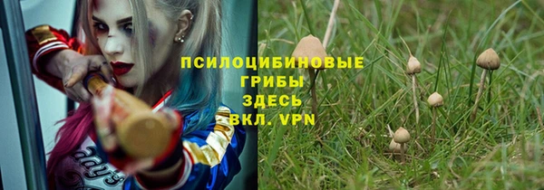 ПСИЛОЦИБИНОВЫЕ ГРИБЫ Армянск