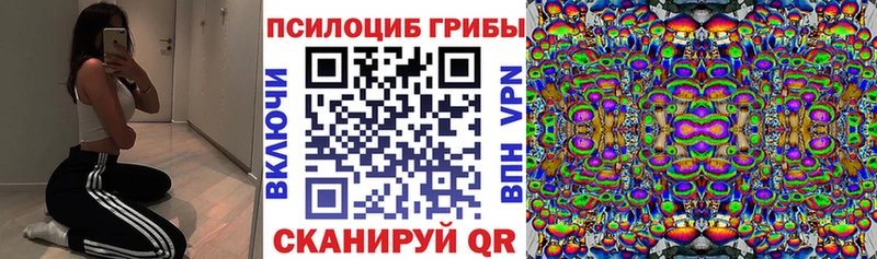 Псилоцибиновые грибы ЛСД  Моршанск 